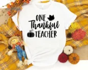 One Thankful Teacher, Fall Teacher Tee, Teacher Shirt
