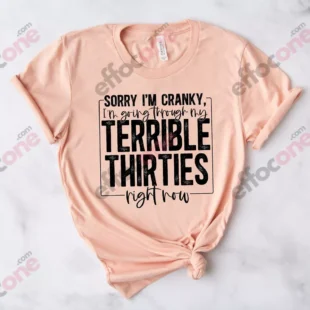 Sorry I'm Cranky I'm In My Terrible 50s Birthday Shirt, Funny Thirties Shirt